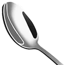 SpoonGang