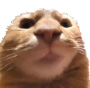 Thumb Thumb