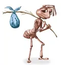ant