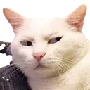 1d83a6d88d8be5b041a9a98fd5048311