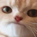 539bf7619c6b35de77879cf71676231d