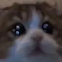 __