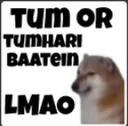 Mine_Baate_Lmao