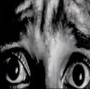 FEAR