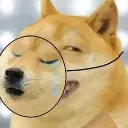 fake