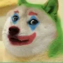 jokerDog