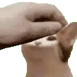 nice_lil_pat