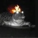 floridiangod