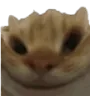 smilecat