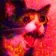 screm