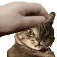 NimbusHeadpats