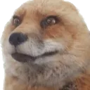 FinneStare