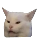 wtf_end