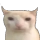 bruhcat