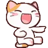 cat_fall_laugh