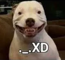 dog_xd