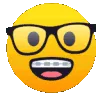 nerd_glasses