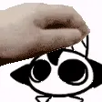 wiwipet wiwipet