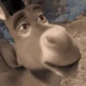 no_donkey