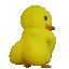 BiggerDuckass