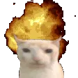 pspCatexplode