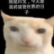pspSadcat