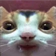 pspKat