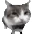 pspBrick