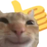 catthumbsup