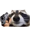 raccoongun