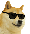 Dogecool Discord Emoji