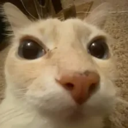 emoji_298 Discord emoji