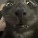 utter_shock