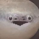 feeshstare feeshstare
