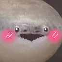 feeshshy