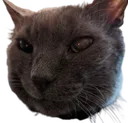 deweyGrin