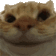 YesYes Discord emoji