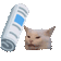 BadCat Discord emoji
