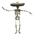 ZZ_sumbrero