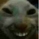xd xd