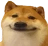 doggieglad