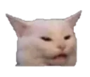 Catfuckright