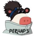 Perhaps_