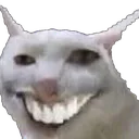 SUS