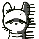 saintcold
