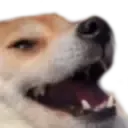 dogeKek