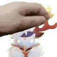 PetFiery