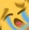 cri cri