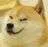 ma_DoggeGandiSoch ma_DoggeGandiSoch
