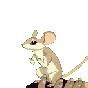 LittleWant
